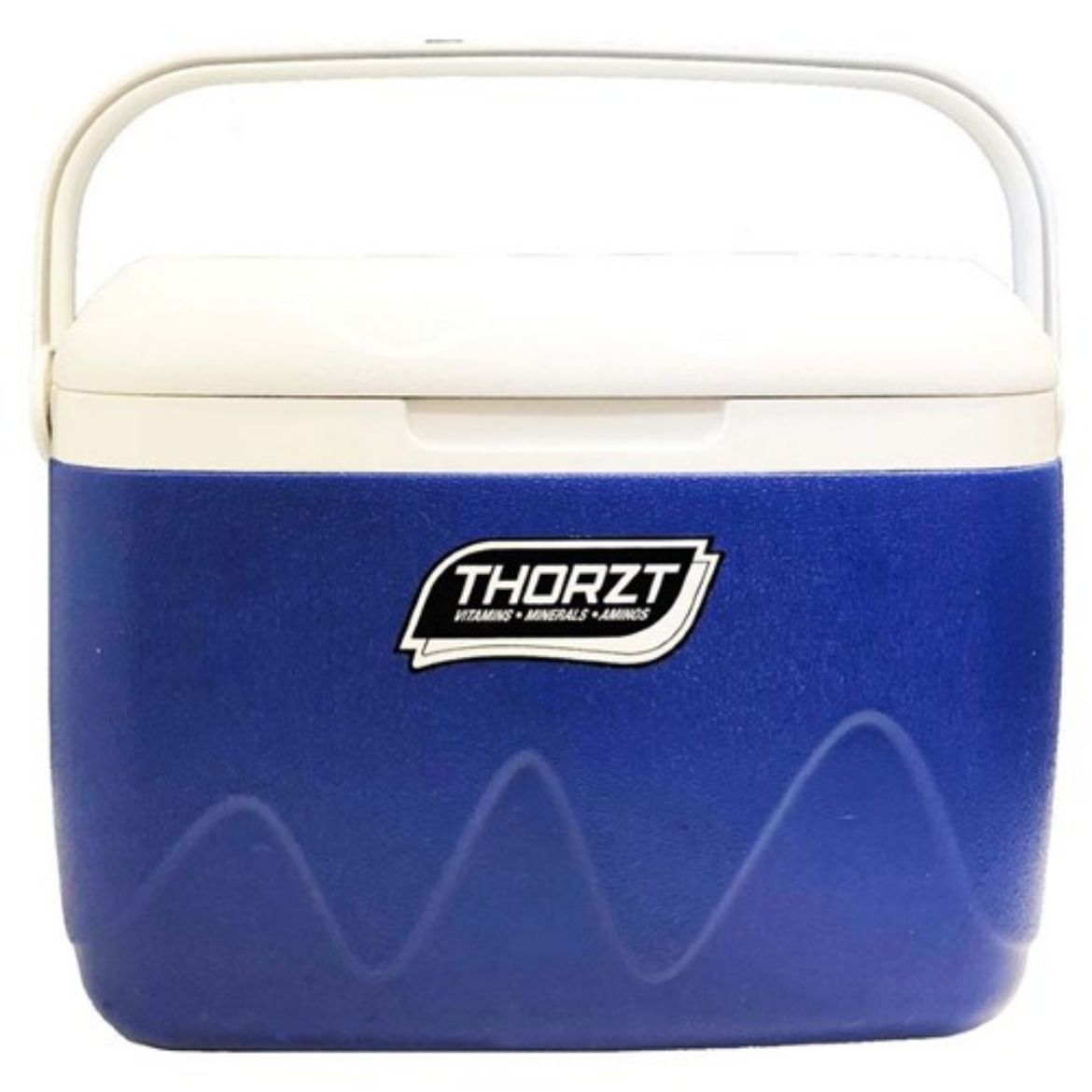 Picture of THORZT ICE BOX 21 LITRE