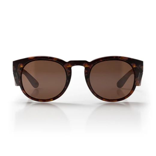 Picture of CRUISERS MATTE TORT FRAME BROWN POLARISED LENS