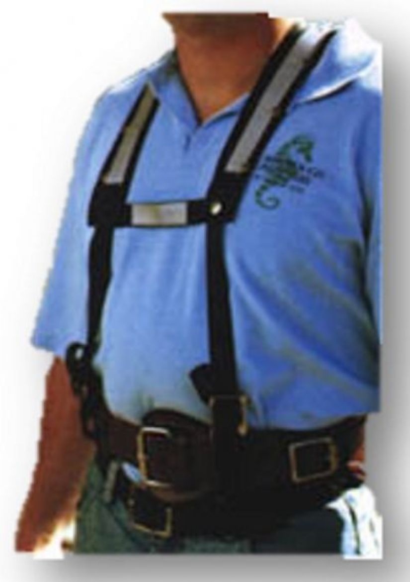 Picture of WBSH/100 - NYLON SHOULDER HARNESS